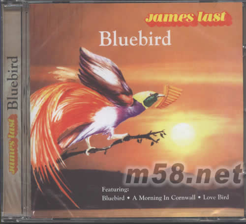 BLUEBIRD天堂鳥(niǎo)專輯正面圖片