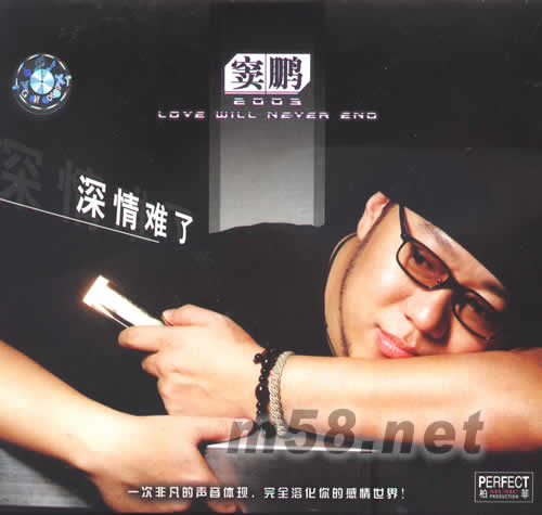 竇鵬 深情難了專輯正面圖片