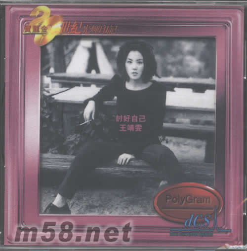 討好自己(20世紀光輝印記)專輯正面圖片