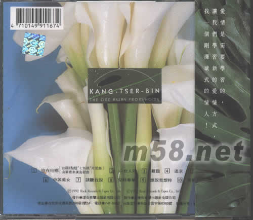 你在他鄉專輯背面圖片