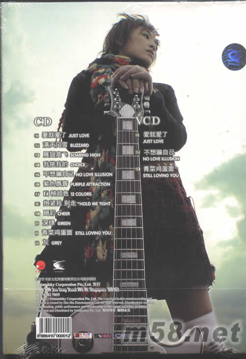 不想騙自己專輯背面圖片