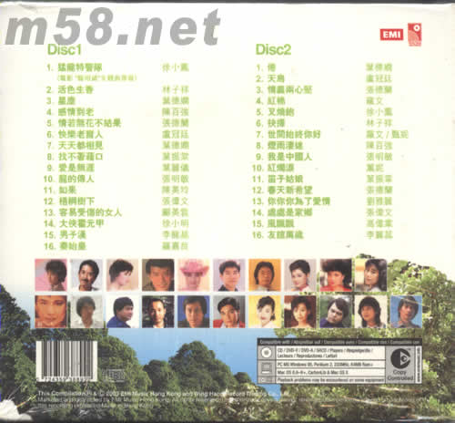 長青樹2專輯背面圖片