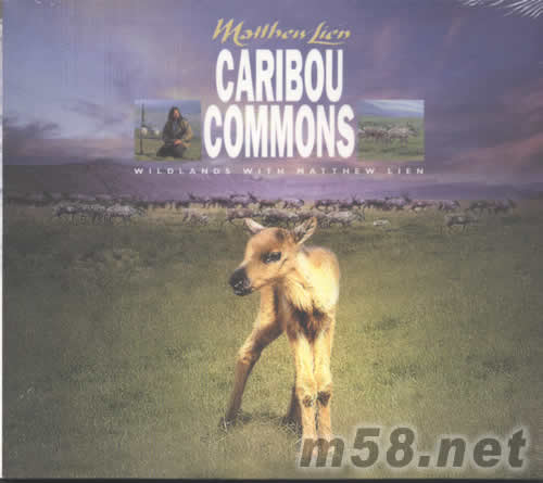 馴鹿宣言專輯正面圖片