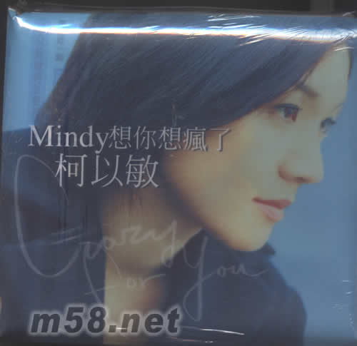 想你想瘋了專輯正面圖片