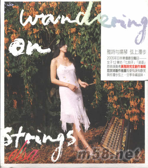弦上漫步WANDERING ON STRINGS專輯正面圖片