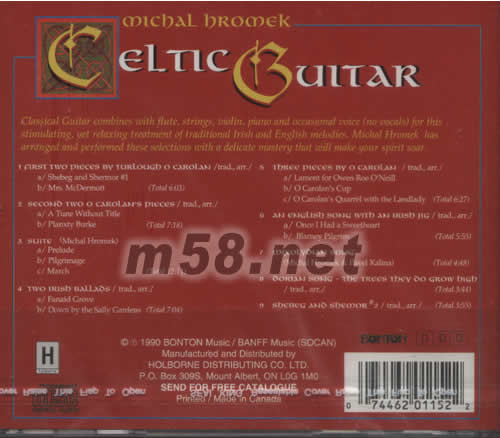 CELTIC GUITAR凱爾特的吉它專輯背面圖片