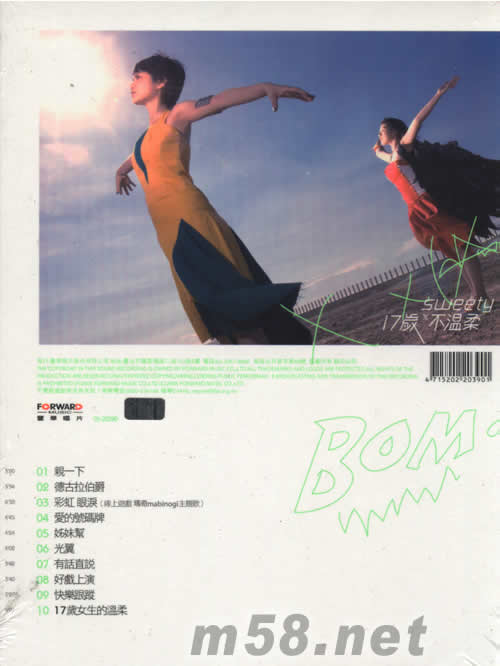 17歲x 不溫柔專輯背面圖片