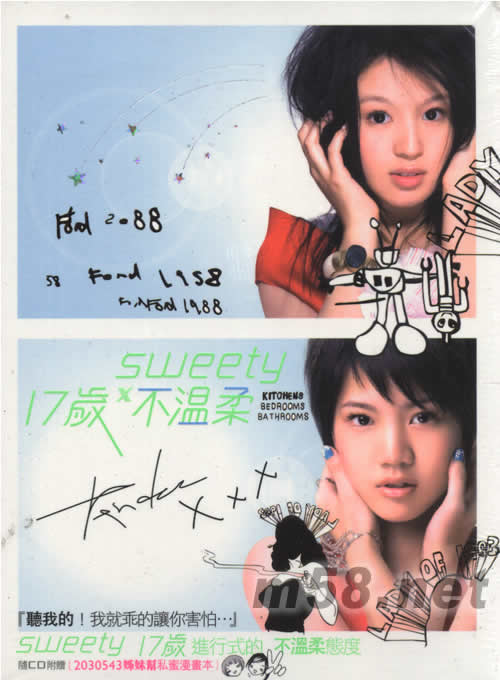 17歲x 不溫柔專輯正面圖片