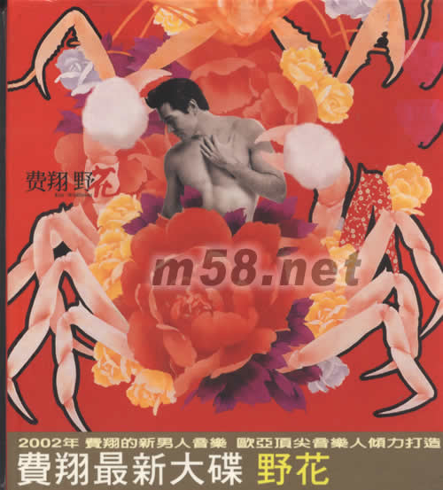 野花專輯正面圖片