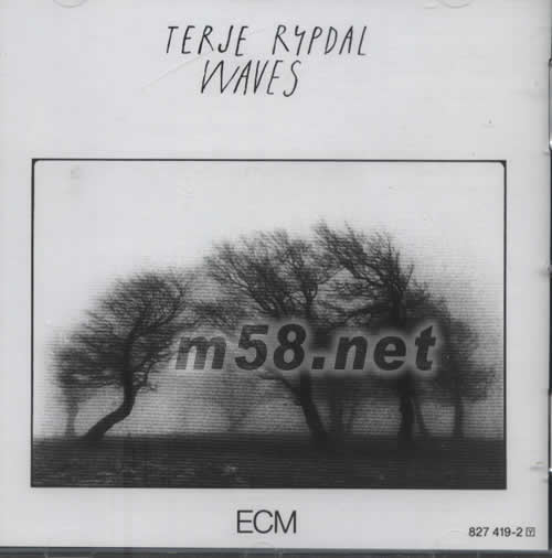 WAVES專輯正面圖片