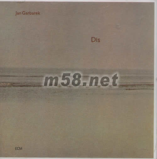 DIS專輯正面圖片