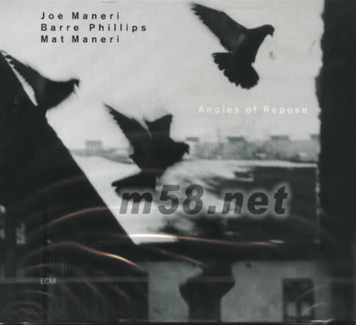 ANGLES OF REPOSE專輯正面圖片