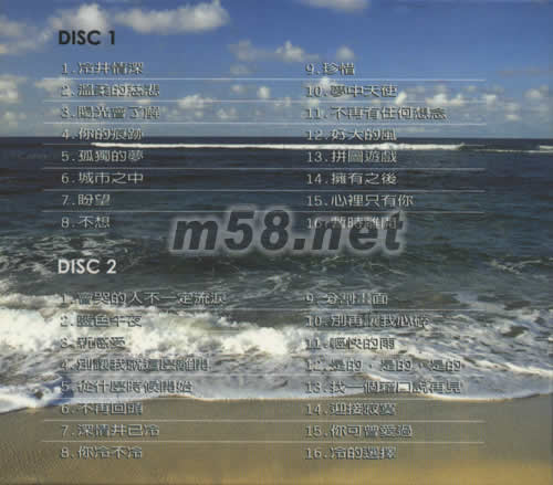 冷峻歌后專輯背面圖片