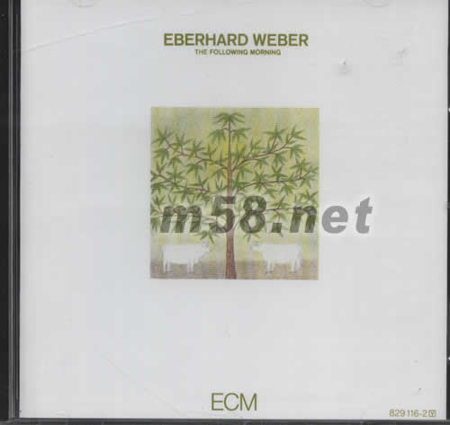 THE FOLLOWING MORNING專輯正面圖片