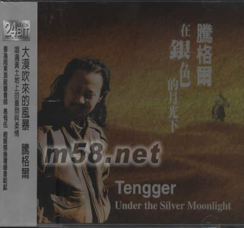 在銀色的月光下 24BIT專輯正面圖片