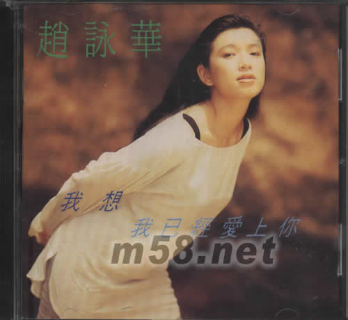 我想我已經(jīng)愛(ài)上你專輯正面圖片