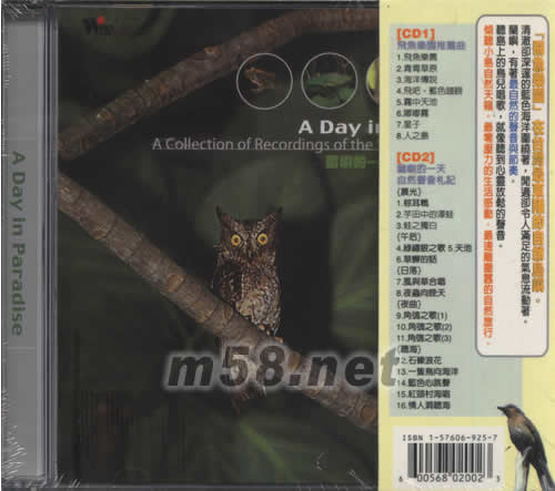 飛魚樂園專輯背面圖片