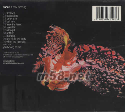 A new moring專輯背面圖片