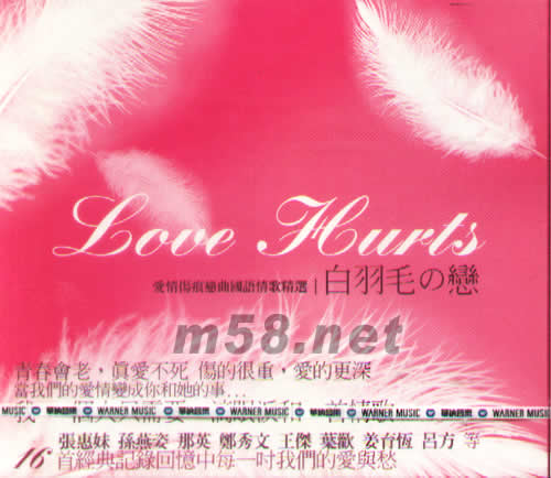 白羽毛戀(愛情傷痕戀曲國語情歌精選)專輯正面圖片