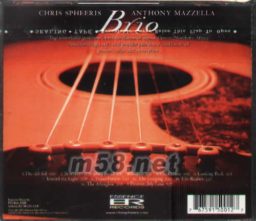 BRIO(神采飛揚的吉它)專輯背面圖片