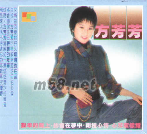 數(shù)羊的晚上專輯正面圖片