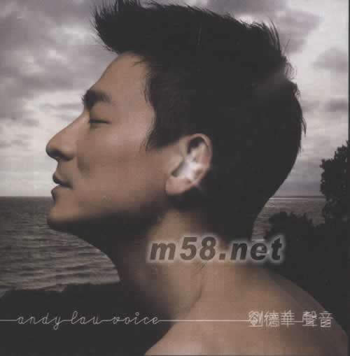 聲音專輯正面圖片