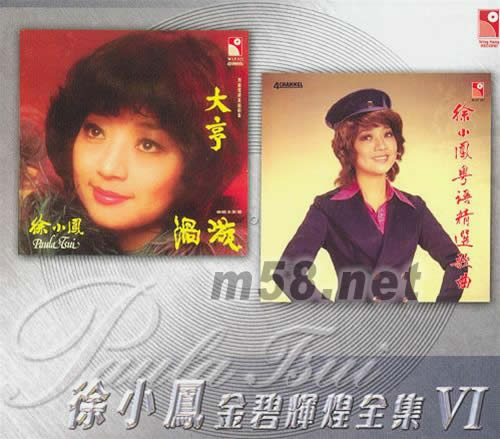 金碧輝煌全集 VI專輯正面圖片