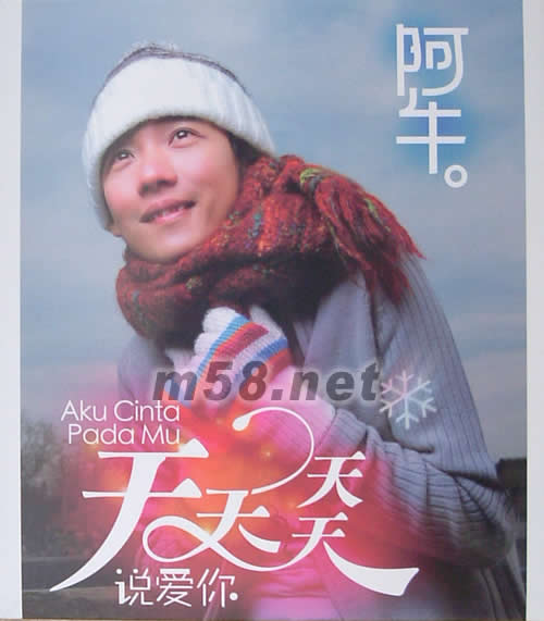 天天天天說愛你專輯正面圖片