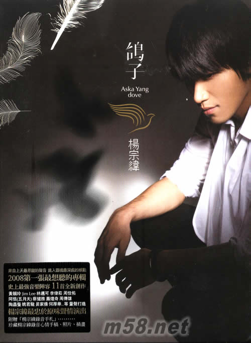 鴿子(臺版)專輯正面圖片