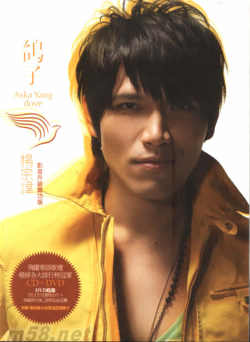 鴿子(影音升級慶功版)專輯正面圖片