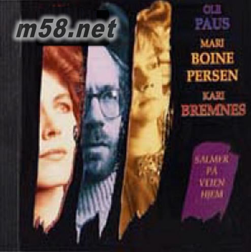 歸鄉路的贊美詩(挪威群星精選)專輯正面圖片