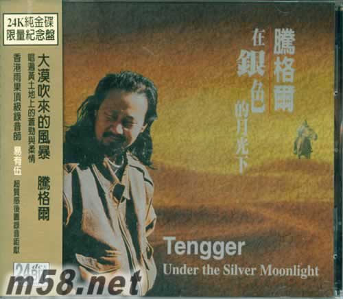 在銀色的月光下 24K金碟專輯正面圖片