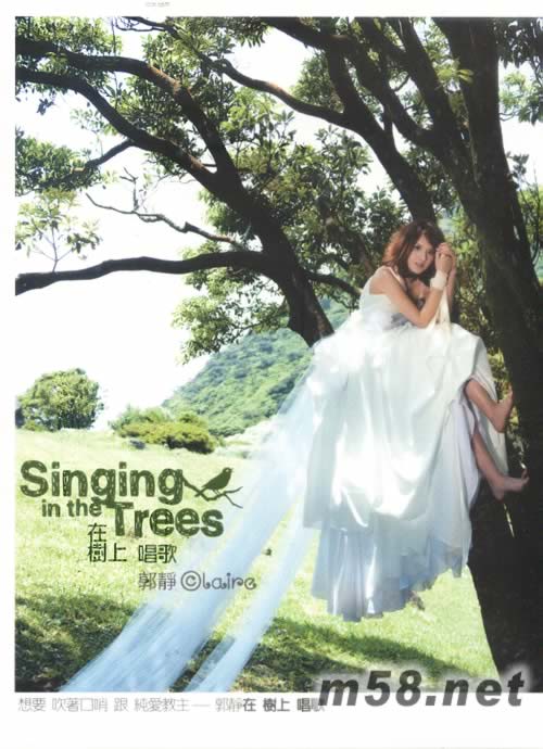 在樹上唱歌 Singing in the trees專輯正面圖片