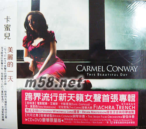 美麗的一天專輯正面圖片