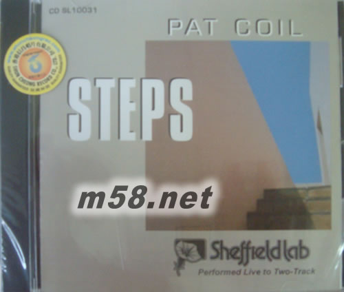 Steps 足跡專輯正面圖片