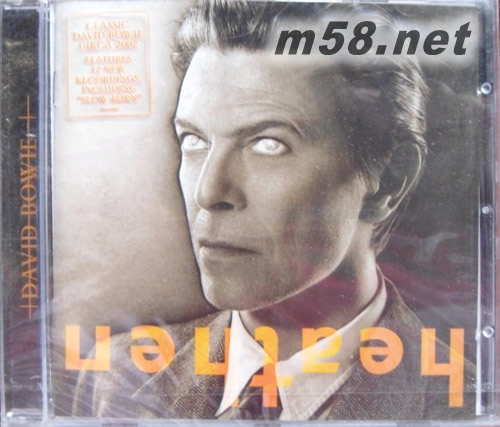 HEATHEN專輯正面圖片