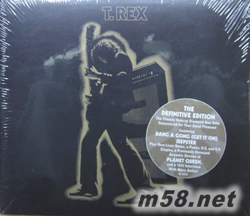 Electric Warrior專輯正面圖片