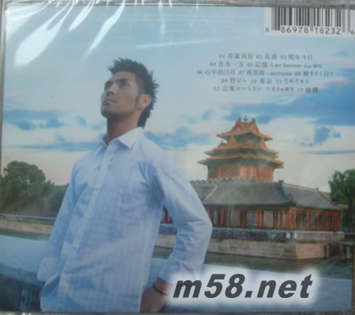 像樂器一樣的聲音 華語圈精選專輯背面圖片