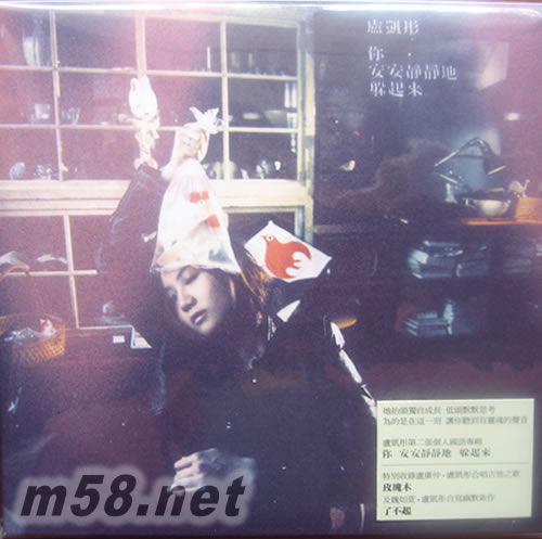 你 安安靜靜地 躲起來專輯正面圖片