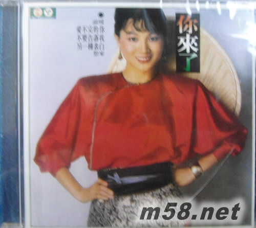 你來了專輯正面圖片