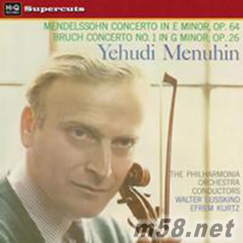 Mendelssohn & Bruch: Violin Concertos 黑膠專輯正面圖片