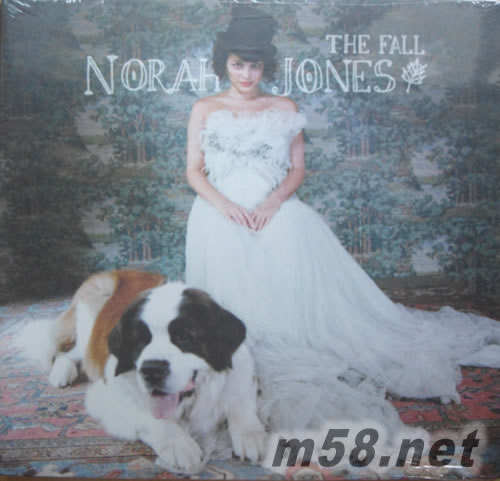 The Fall 紐約的春天 黑膠 美國版專輯正面圖片