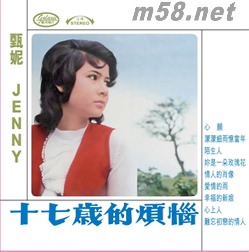 17歲的煩惱專輯正面圖片