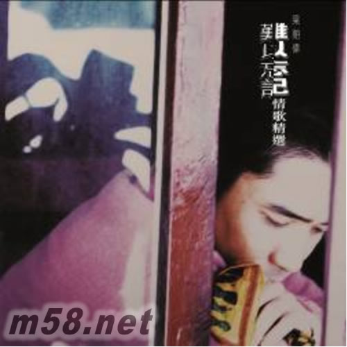 難以忘記情歌精選 黑膠專輯正面圖片