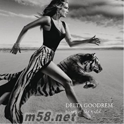 Wings of The Wild 狂野之翼專輯正面圖片