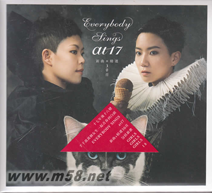 EVERYBODY SINGS AT17 COLLECTION 2CD 新曲+精選30首專輯正面圖片