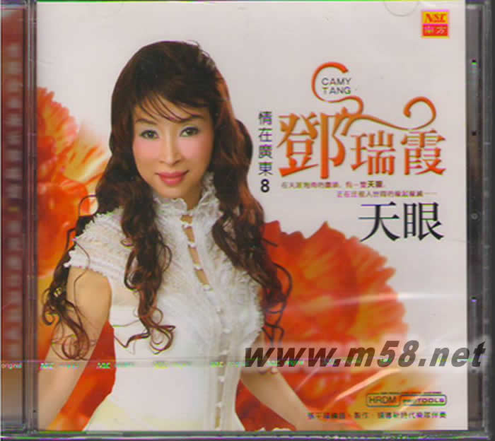 情在廣東8 天眼專輯正面圖片