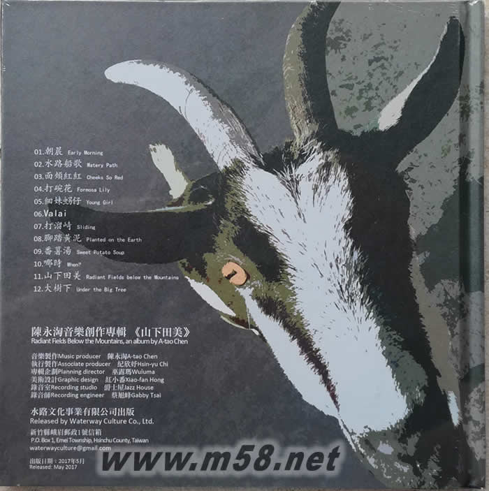 山下田美專輯背面圖片