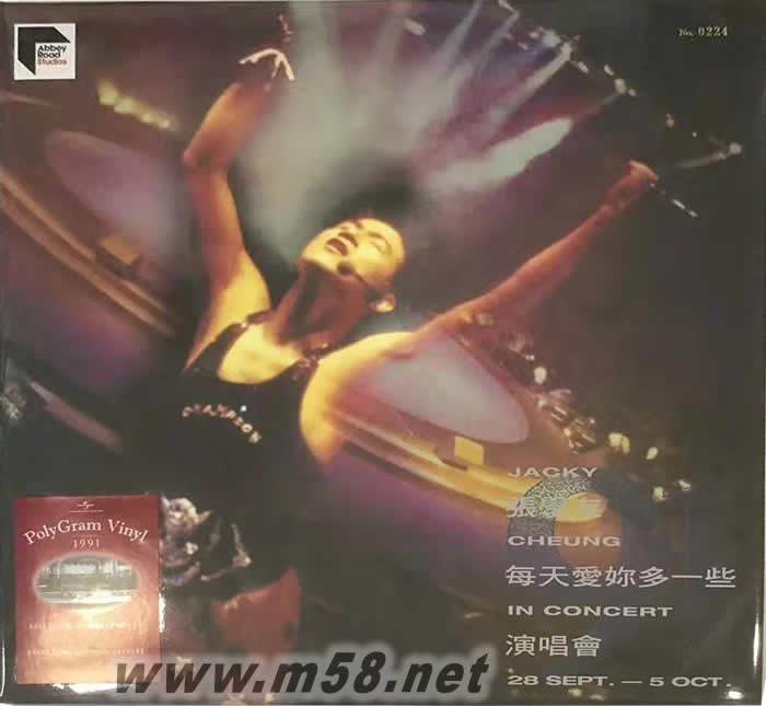 每天愛你多一些 91演唱會 180g 33RPM LP 雙黑膠專輯正面圖片