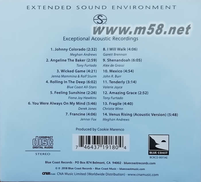 BLUE COAST COLLECTION 3 - 藍岸精選 3 至愛的歌專輯背面圖片